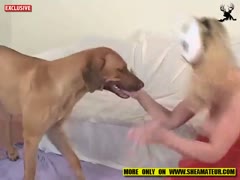 Masked teen enjoys zoophilia with dog or teen fucking dog 